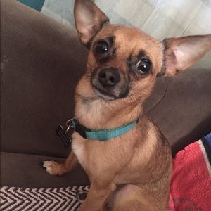 Meet your Posher, Quay